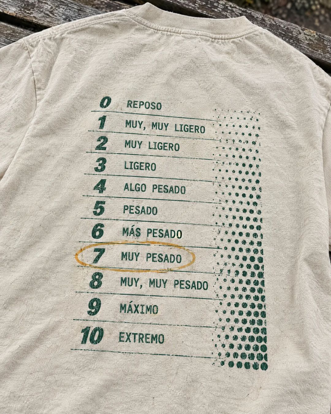 Espalda de la Remera 01 con la escala de 0 a 10 y el 7 marcado